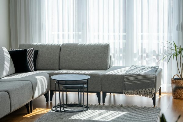 Choisissez l'expertise anti-nuisible drôme : 47 ans d'engagement